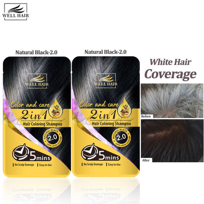 HAIR COLORING SHAMPOO 2 in 1 Well Hair